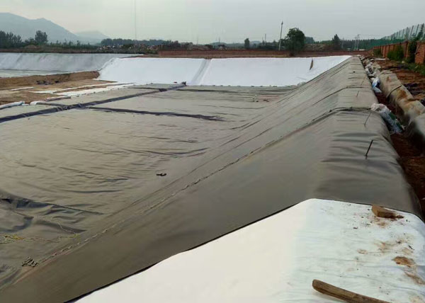 �̏U������BĤ